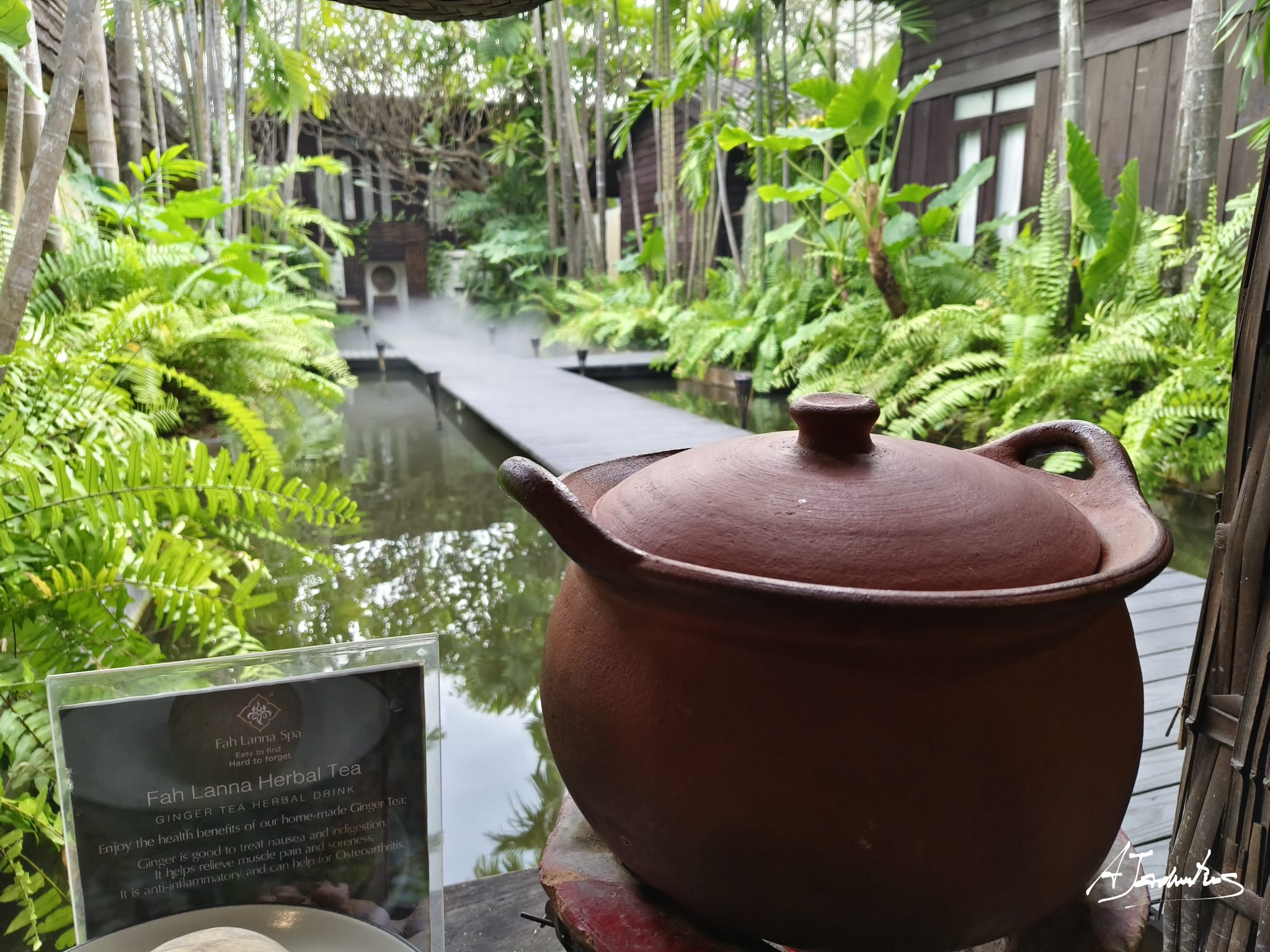 Northern Thai herbal tea setting